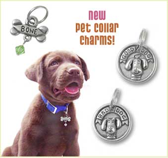 Pet Collar Charms
